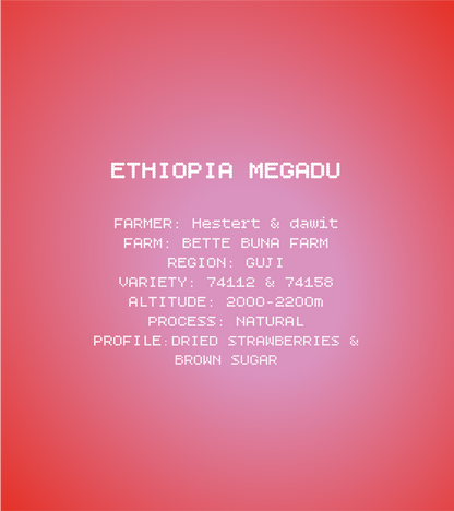 Ethiopia Megadu