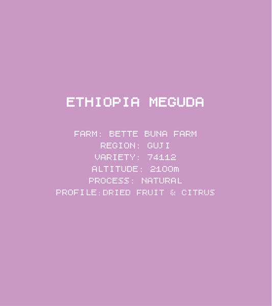 Ethiopia Meguda