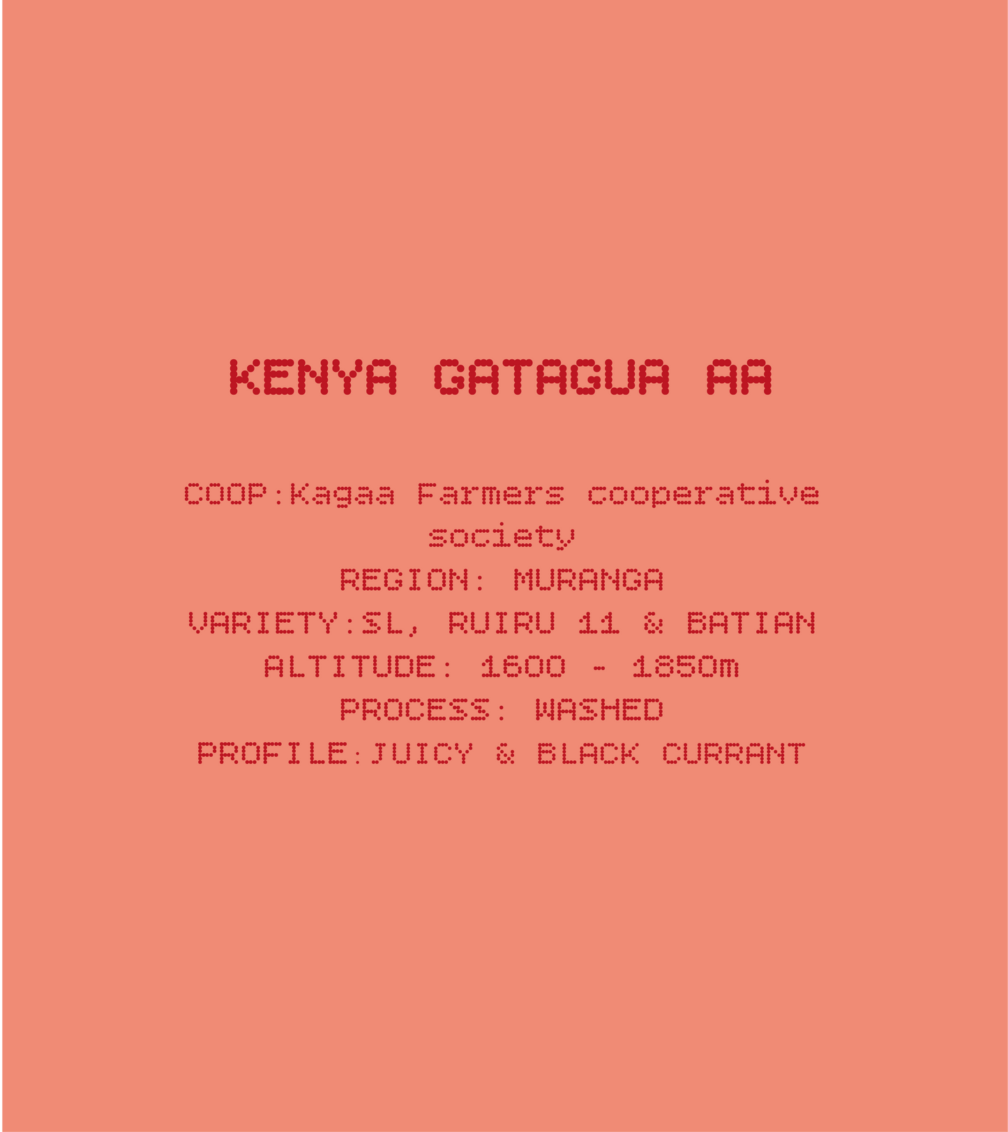 Kenya Gatagua AA