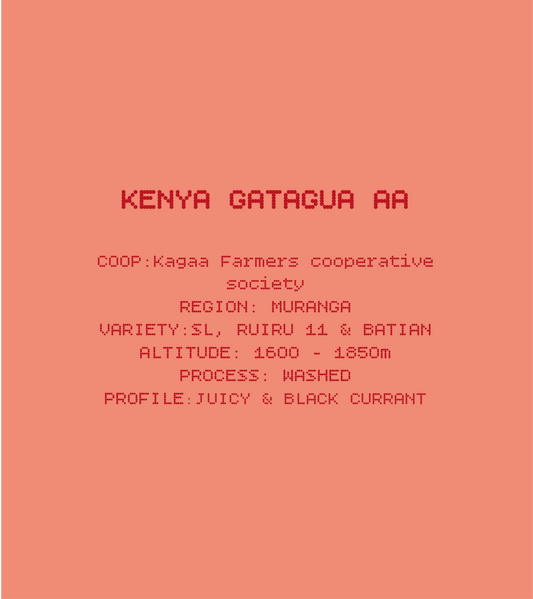 Kenya Gatagua AA