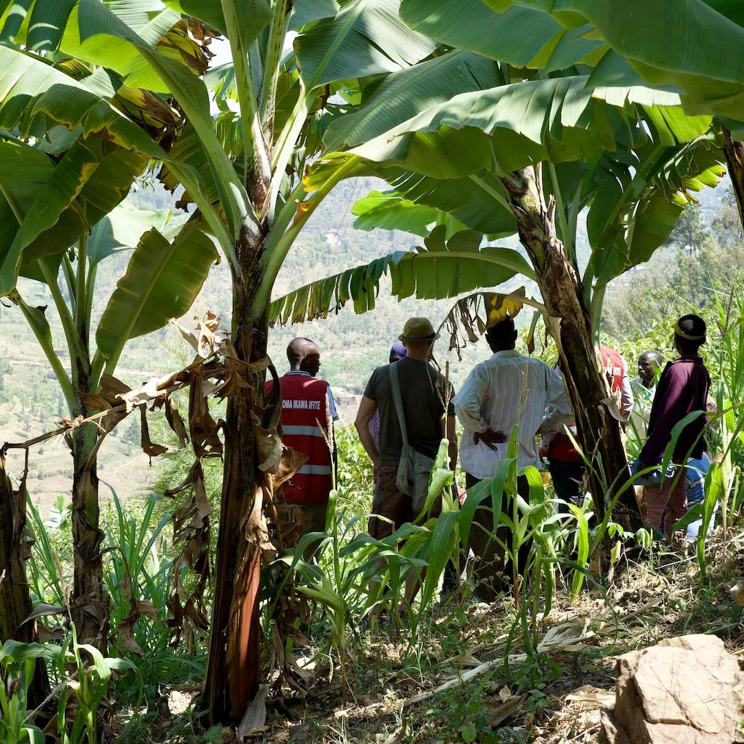 Rwanda Kopakaki