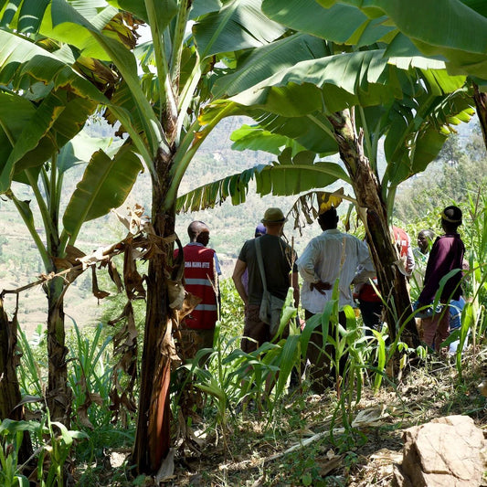 Rwanda Kopakaki